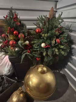 Christmas theme plants