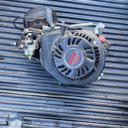 briggs and stratton motor