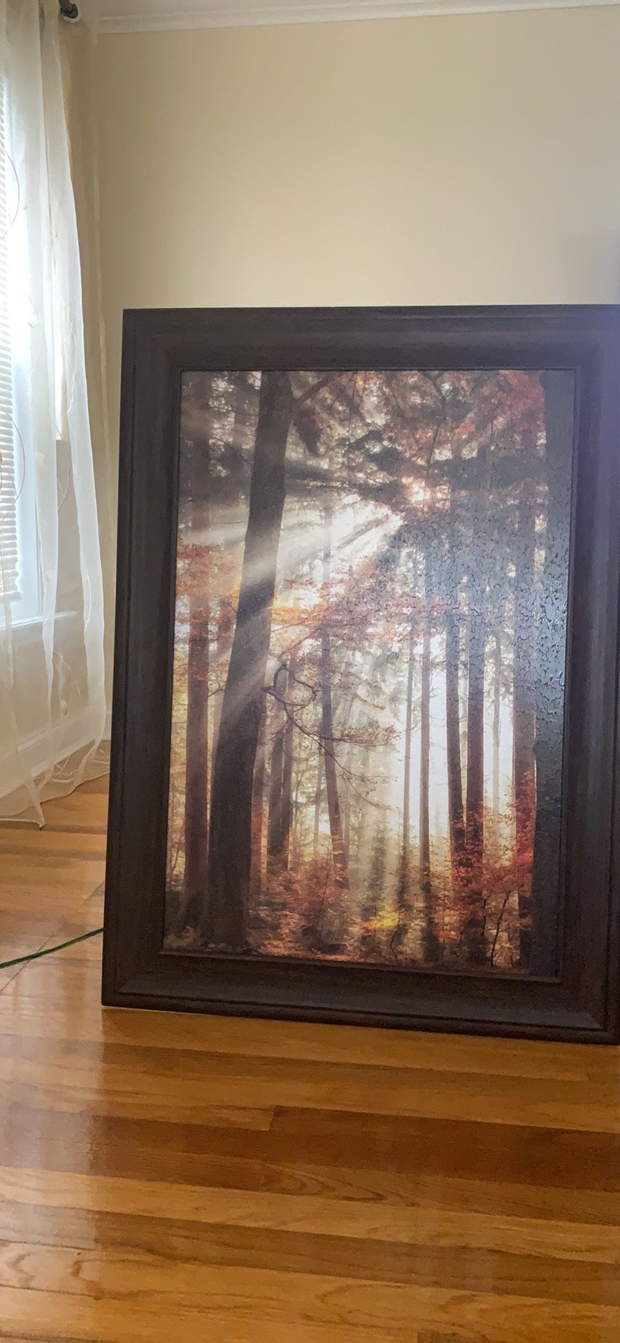 24*36 Lighten the Forest