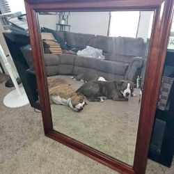 Sturdy 41 x 33 mirror