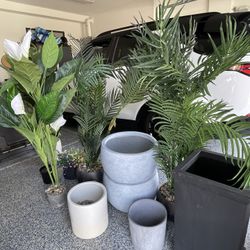 Pots plants and stone boy
