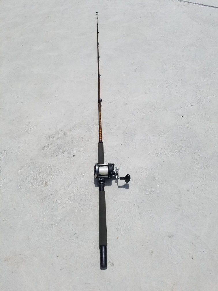 Fishing Reel & Rod 