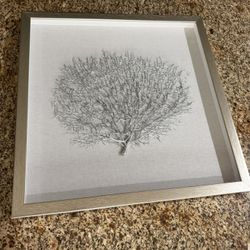 Neutral Coastal Coral Shadowbox Wall Art