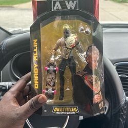 Wrestling Action Figures