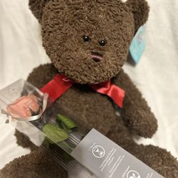 Valentin’s Day Bear with Rose