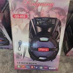 Ridgeway 12" Speaker
