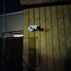 Security Cameras ⭐⭐⭐⭐⭐