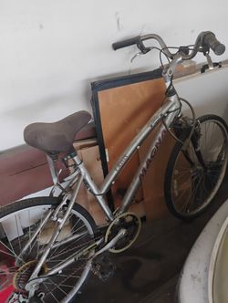 Magna Bike  $20