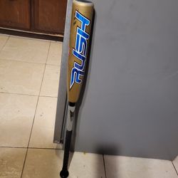 Baseball Bat 34