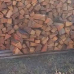 Seasoned Dry Ready to Burn Firewood 