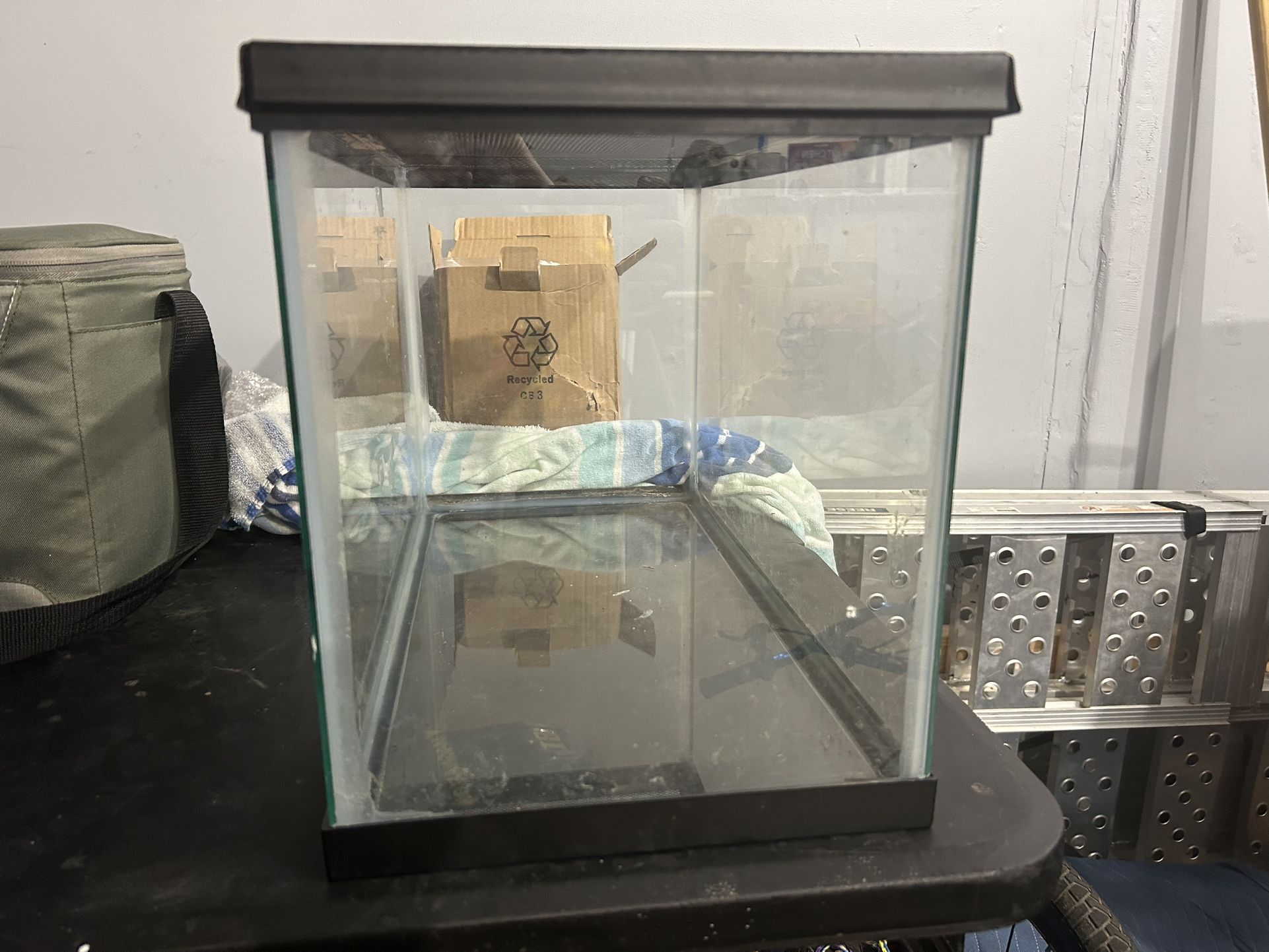 10 Gallon Tank