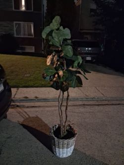 Fake Tree