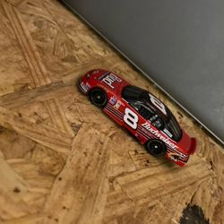 Dale Earnhardt Junior