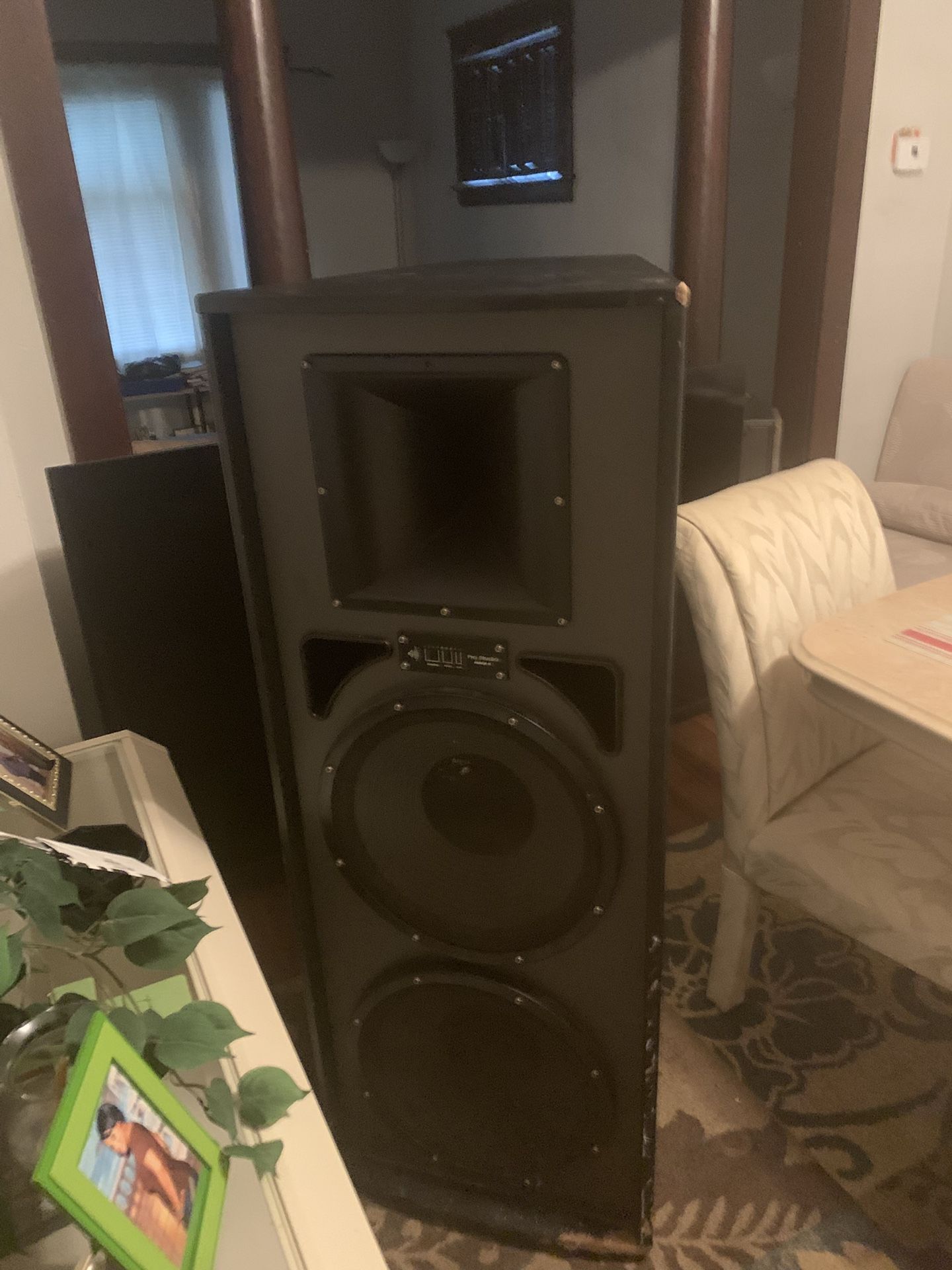 2 15 Speaker