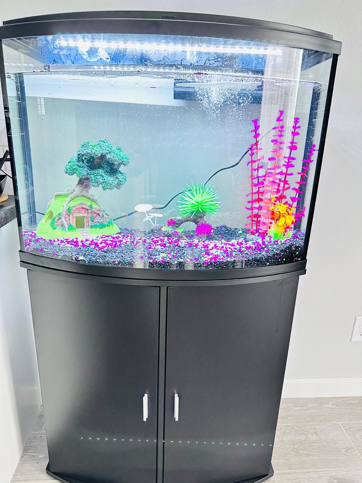 Acquarium full set/ free decoration items/36 gallon