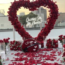 Red Heart Proposal