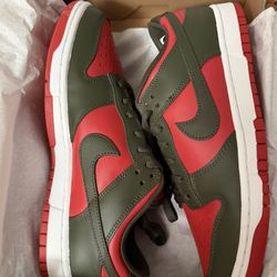 Nike Dunks (Size 11 New)