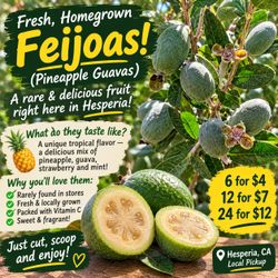 Fresh Homegrown Pineapple Guavas