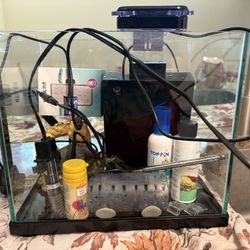 Fish Tank Setup