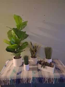 Set of 5 Faux Potted Plants in White Pots