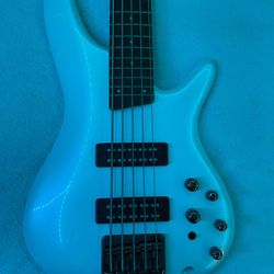 brand new ibanez sdgr 305E bass 5 string $400