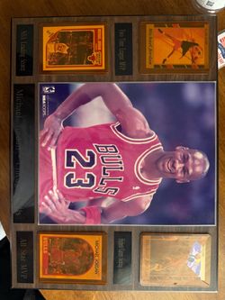 Michael Jordan Chicago Bulls Collector Plaque