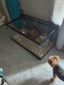 Large Glass Aquarium 