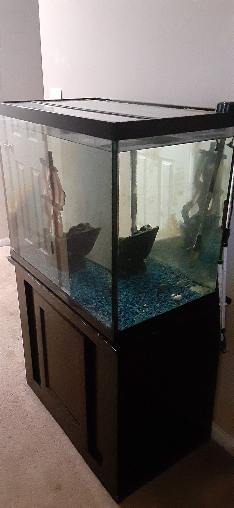 65 Gallon Aquarium