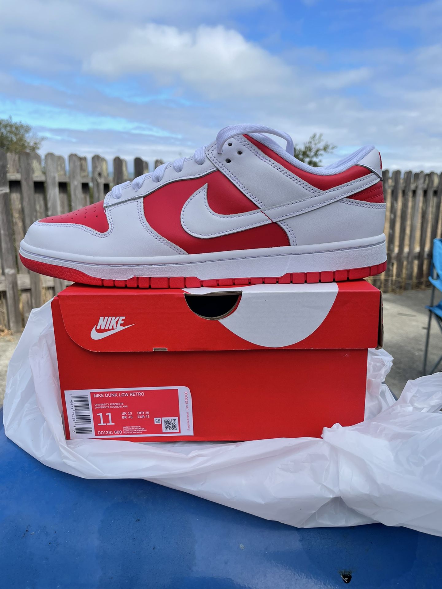 Nike Dunk Low “Championship Red” Size 11