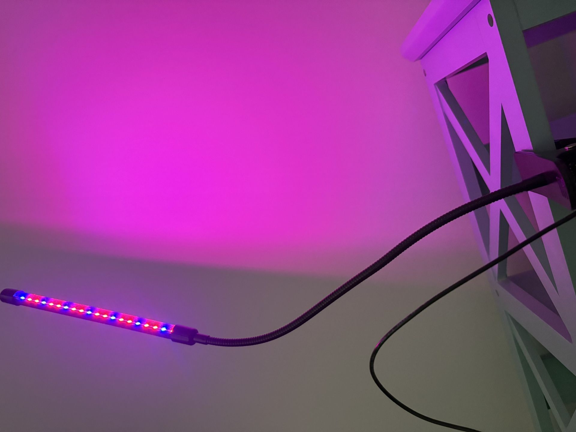 Plant Supplemental Growing Light