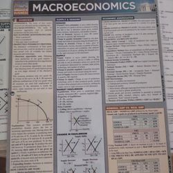 Macroeconomics And Microeconomics Study Guides/Quick Reference 