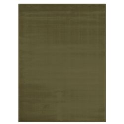 8/10 Sage Green Rug Carpet 