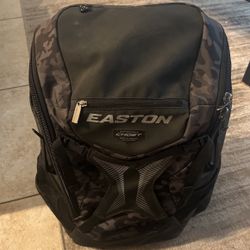 Baseball bag for two bats