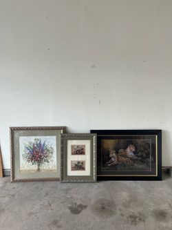 Framed pictures (25$ for all)