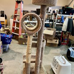 Cat Tree, Litter Box And Car Carrier