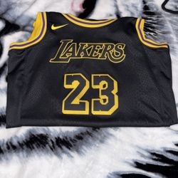 LeBron James Jersey