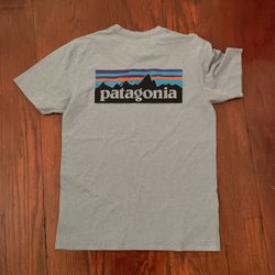 Patagonia Mens Pigeon Blue Small