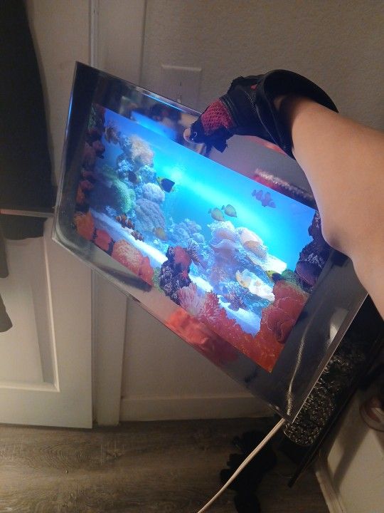 Aquarium Motion Lamp 