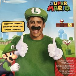 Costume Luigi 