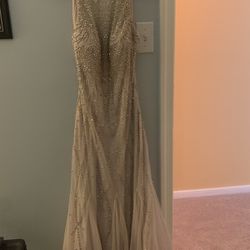 Champagne Prom Dress With Sequence , Size 4