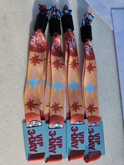 RIOT FEST 2024 GENERAL ADMISSION AND VIP