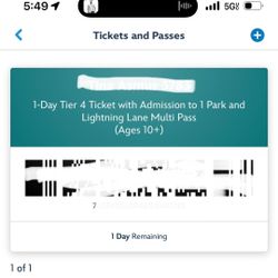 Disney Adventure Ticket 