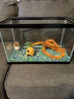 Fish tank