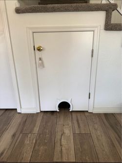 Small Closet Door with Cat Cutout