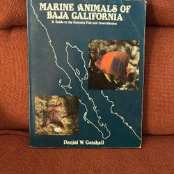 Marine Animals Of Baja California 
