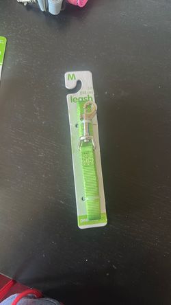 Green Medium Dog Leash 5 ft