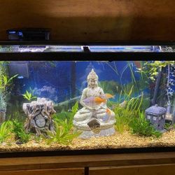 Fluval LED Fish Tank and Plant Light 