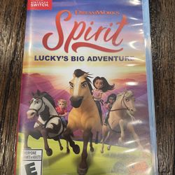 Nintendo Switch Game