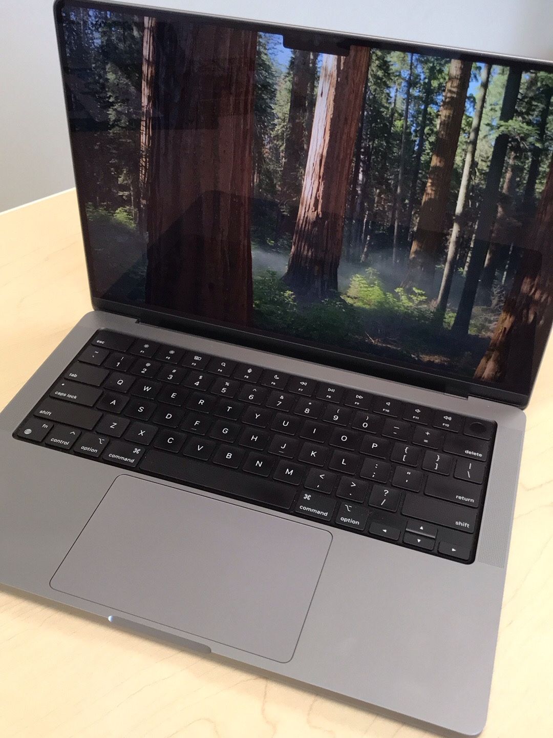 14” MacBook Pro M1 Pro (Excellent)