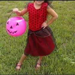 Child Lovely Ladybug Fairy ( size M ). I Have Small Size As Well.